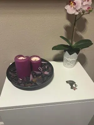 Mi Rincon Favorito アパート